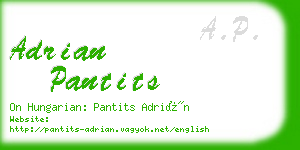 adrian pantits business card